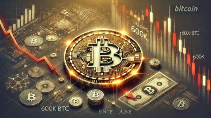 Bitcoin Wallets Holding 10-100 BTC Drop By 600K BTC Since Bitcoin Wallets Holding 10-100 BTC Drop By 600K BTC Since June – Millionaires Cashing Out?