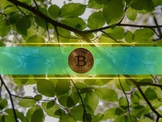 Is Bitcoin Poised for a $100K Rebound? Bearish Crowd Suggests So