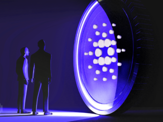 Cardano Whales Accumulate $136 Million Worth of ADA
