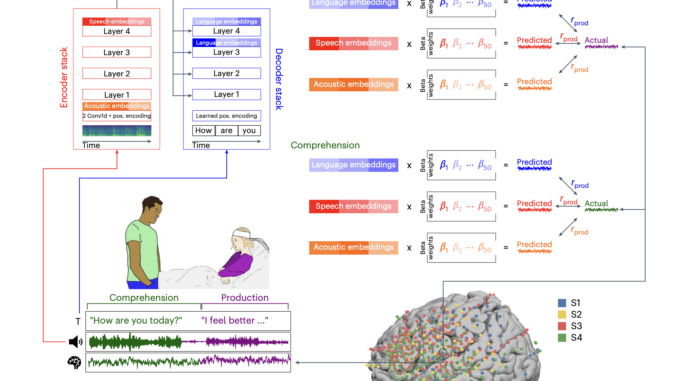 A Unified Acoustic-to-Speech-to-Language Embedding Space Captures the Neural Basis of A Unified Acoustic-to-Speech-to-Language Embedding Space Captures the Neural Basis of Natural Language Processing in Everyday Conversations