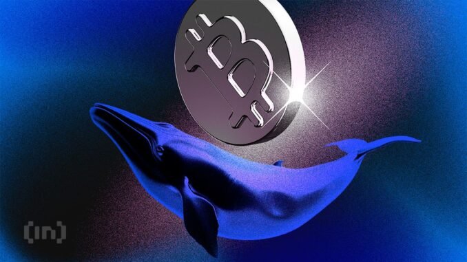 Bitcoin Whale Resurfaces After 8 Years With $250 Million Transfer Dormant Bitcoin Whale Wallet From 2016 Moves 3,000 BTC