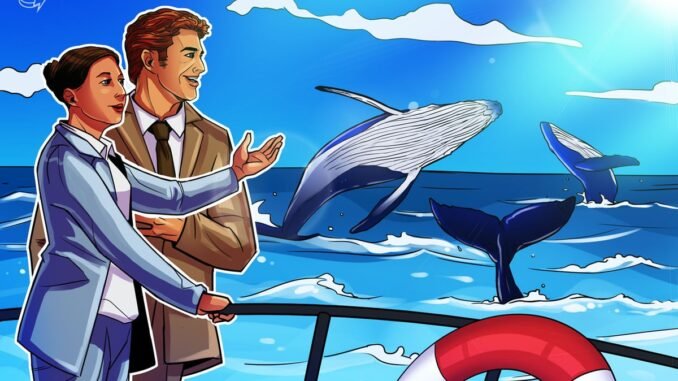 Hyperliquid opened doors to ‘democratized’ crypto whale hunting: Analyst Hyperliquid opened doors to ‘democratized’ crypto whale hunting: Analyst