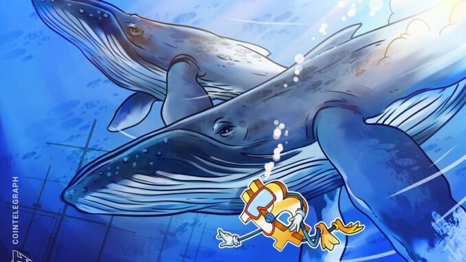 Massive Bitcoin whale buys $200M in BTC, another wakes up Massive Bitcoin whale buys $200M in BTC, another wakes up after 8 years