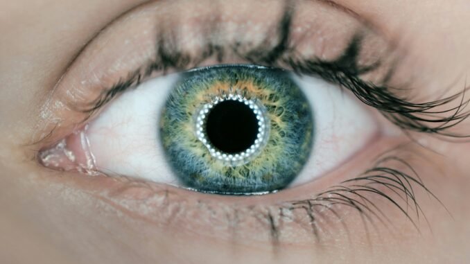 Meta FAIR advances human-like AI with five major releases Human eye as the Fundamental AI Research (FAIR) team at Meta announces five projects advancing the company's pursuit of advanced machine intelligence (AMI) with significant boosts to enhancing perception abilities for use cases including robotics and agents.