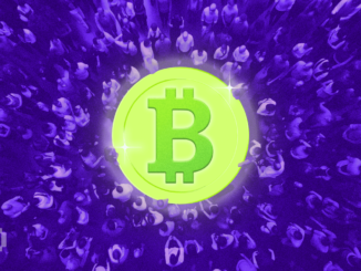 Bitwise CEO Explains Why Bitcoin Search Volume on Google Trends Has Dropped Sharply