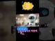 GPT AI Guide 찐초보 시니어를 위한 AI와 친해지기 댓글,설명란참조