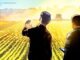 AgriFORCE Powers Bitcoin Miners With Stranded Natural Gas