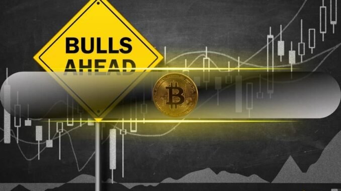 Bitcoin Futures Market Signals Bullish Momentum as Short Liquidations Dominate Bitcoin Futures Market Signals Bullish Momentum as Short Liquidations Dominate