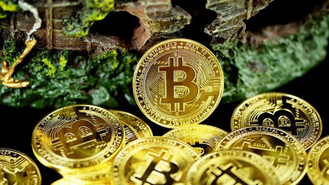 Bitcoin Recovery Gains Momentum While Network Activity Remains Muted - bitcoin