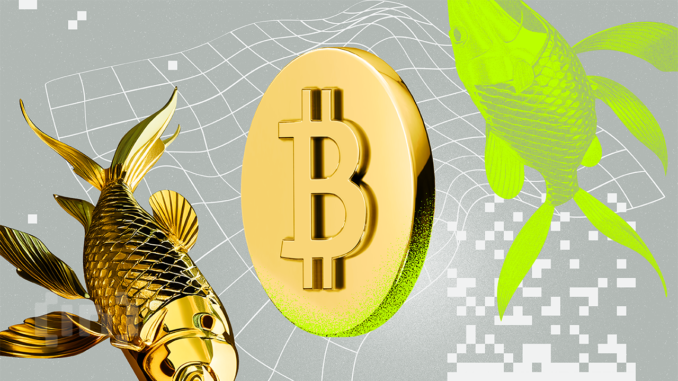 Bitcoin Slips, Gold Soars as Iran Threatens Retaliation Gold Surges While Bitcoin Slips as Iran Threatens Retaliation