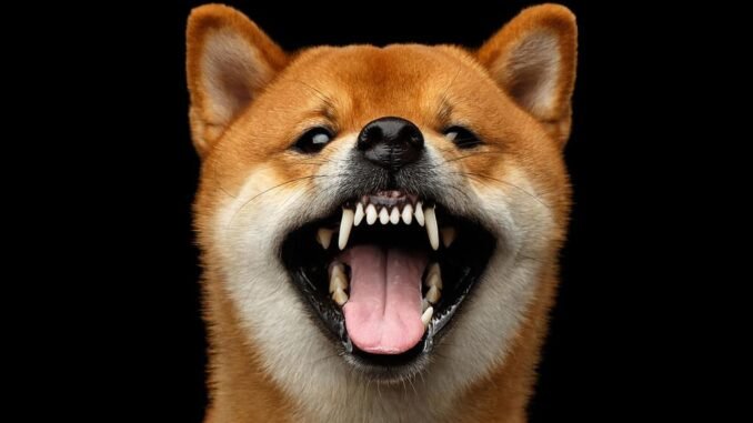 Dogecoin