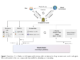 From Perception to Action: The Role of World Models in Embodied AI Systems