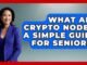 What Are Crypto Nodes: A Simple Guide For Seniors? - Crypto Simplified for Seniors