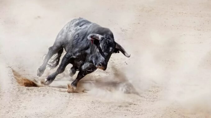 XRP Gains Momentum As Analyst Calls It The Smartest Crypto crypto