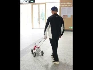 World's First! AI-Guide Dog Makes Debut on Shenzhen Metro