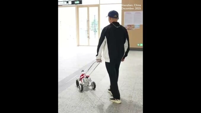 World's First! AI-Guide Dog Makes Debut on Shenzhen Metro
