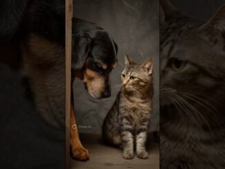 Best friend🐶🐈 #cat #cute #news #animals #ai #ติดกระแส #สัตว์โลกน่ารัก #สัตว์เลี้ยง