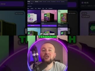 Cheapest Miner Found  1 TH s for Just $18 71!