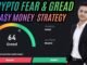 Crypto Fear & Greed | How Beginners Make Money