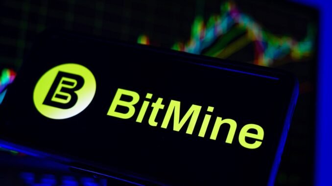 Bitmine Buys 20,000 ETH During Market Panic, Defies Bearish Sentiment