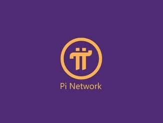 Pi Network mainnet turns one
