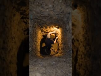 Bulker timelapse ai studio video please subscribe my you tube channel guides everyday new updates