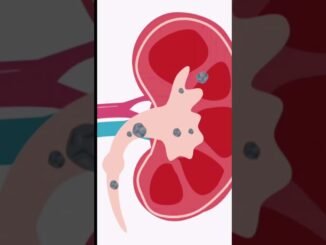 What is Cryptocurrency? Complete Beginner Guide to Digital Money