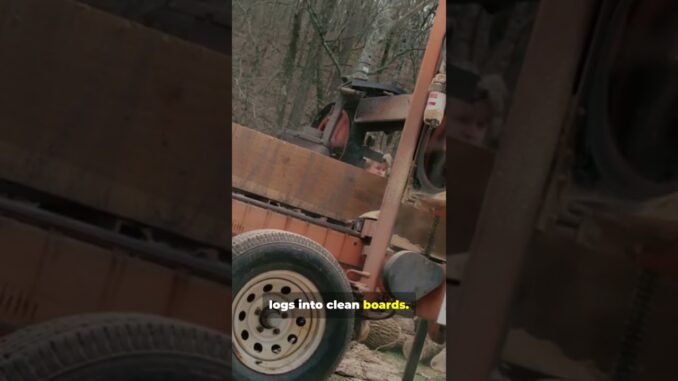 best vlog for beginners #ai #life #vlog #reallife #realifestory