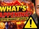 WHAT'S HAPPENING? : Latest Crypto Market News Today & BTC Update - ETH Analysis