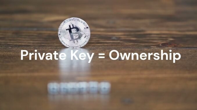 What Is a Crypto Wallet? Hot vs Cold Wallet Explained (Beginner Guide 2026)