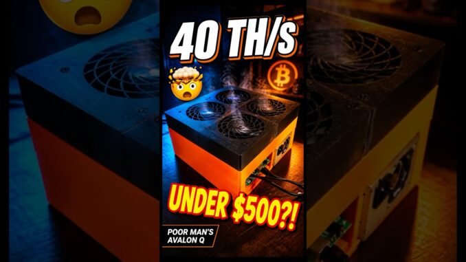 I Built a 40 TH/s Bitcoin Miner for Under $500 🤯