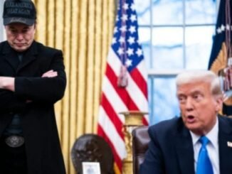 Trump takes Elon Musk, Tim Cook and Wall Street chiefs to China in bid to unlock business deals
