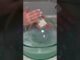 #asmr #cryptonews #oddlysatisfying #oddly