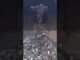 【Multi SUB】China Banned 75% of Bitcoin Mining — and It Came Right Back #shorts