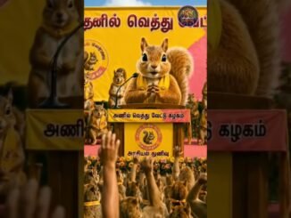 Tvk அரசாங்கம் ஐந்தாண்டு நீடித்தால் மக்கள் நிலை என்ன? #dmk #ntk #admk #tvk #ainews