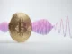 Bitcoin coin with compressed volatility wave visualization in purple gradient on white studio background