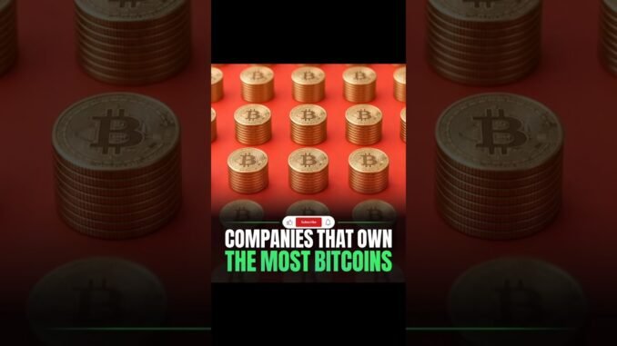 Bitcoin Giants Hold Billions 💰 #BTC