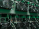 Bitcoin Miners Pocket $1B in August, but Halving Pain Still Lingers