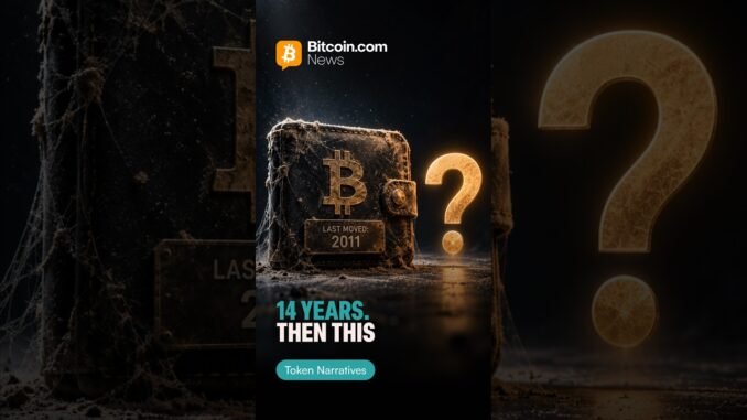 Bitcoin Whales From 2011 Are Moving But They’re Not Selling
