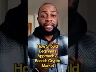 How Should Beginners Approach A Bearish Crypto Market