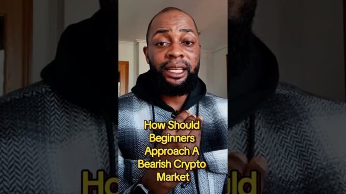 How Should Beginners Approach A Bearish Crypto Market