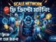 Scale Network Mining | New Crypto Mining Project | Ssm Optimai |