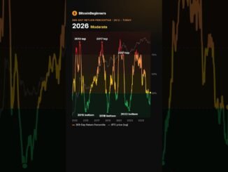 365-Day Return Percentile explained in 30 seconds | Bitcoin on-chain #Shorts