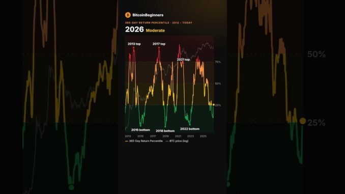 365-Day Return Percentile explained in 30 seconds | Bitcoin on-chain #Shorts