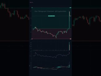 Are these crypto trading signal for beginners real? 💡