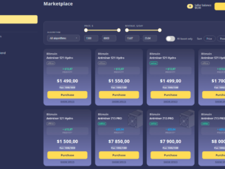 Tokenized stock dividend onchain reinvestment